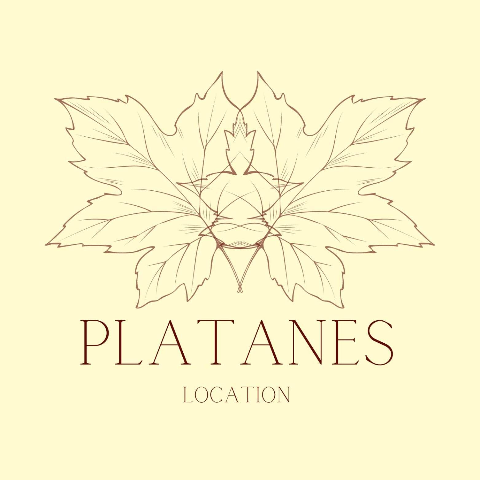 Hotel Platanes - Kb Hotel Group Etauliers Exterior photo